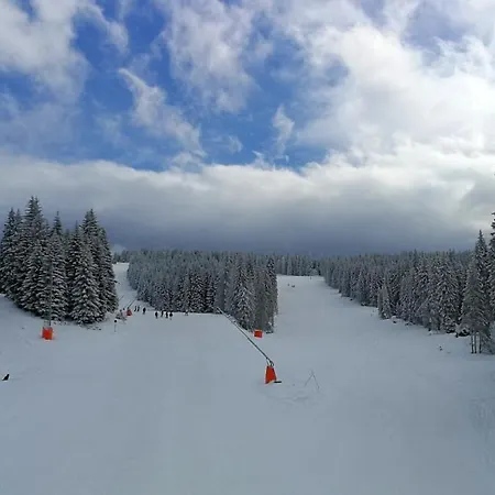 Διαμέρισμα Lux Stevanovic A86 Κοπαόνικ
