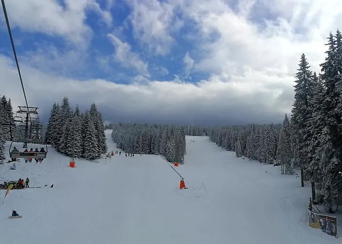 Апартаменты Lux Stevanovic A86 Копаоник