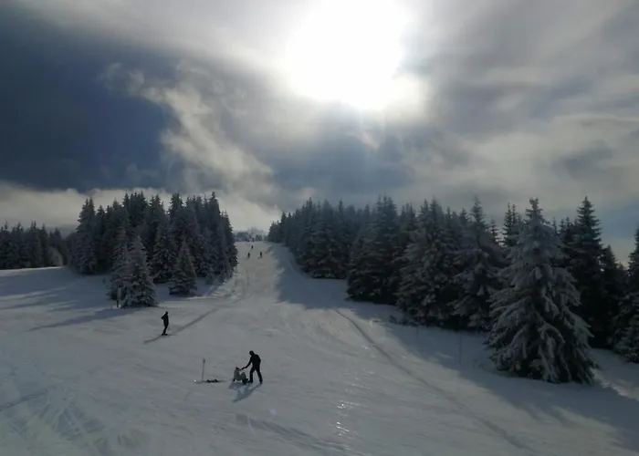 Апартаменты Lux Stevanovic A86 *