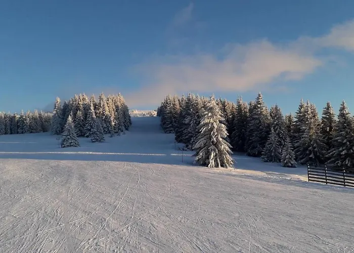 Lux Stevanovic A86 Апартаменты *