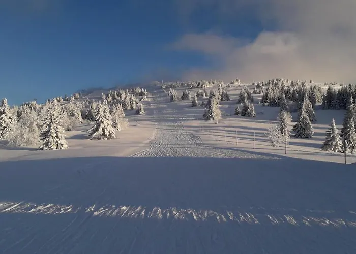 Lux Stevanovic A86 Апартаменты